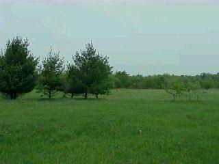 12435 Bailey Road Ravenna, MI 49451 - Photo 1 of 1 Primary Photo