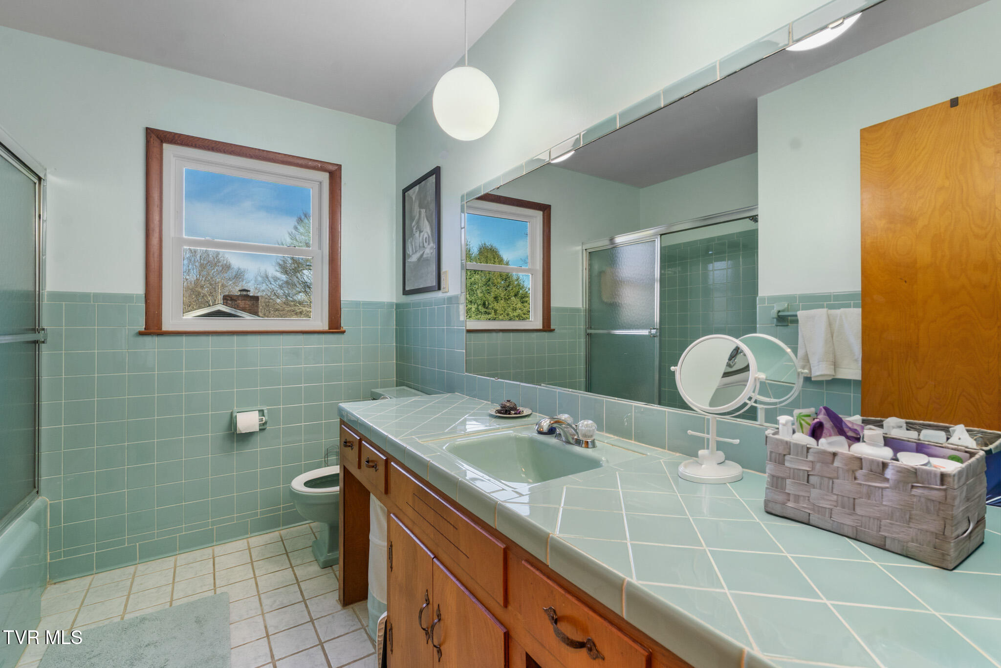 159 Edgemont Terrace Southwest Abingdon, VA 24210 - Photo 28 of 55 DSC03986