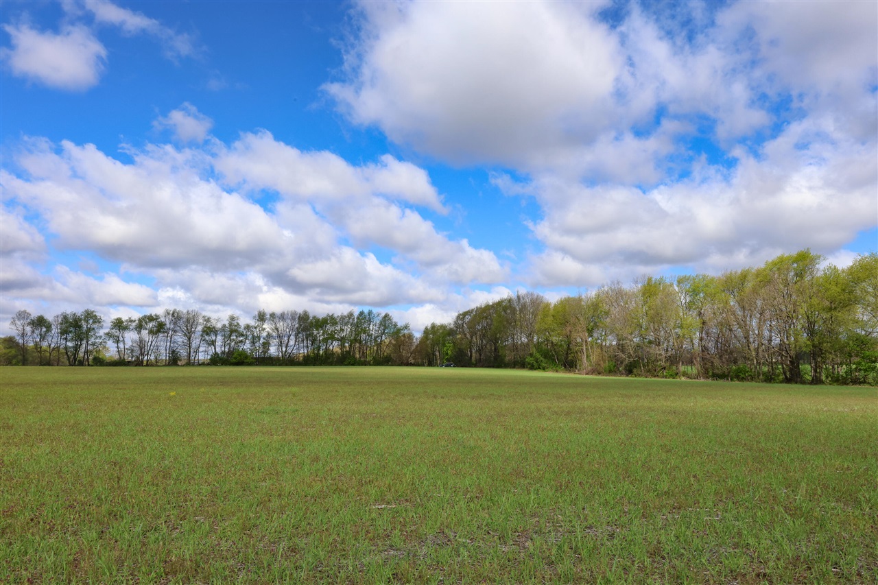 Hubbard Road Hanover, MI 49241 - Photo 3 of 15