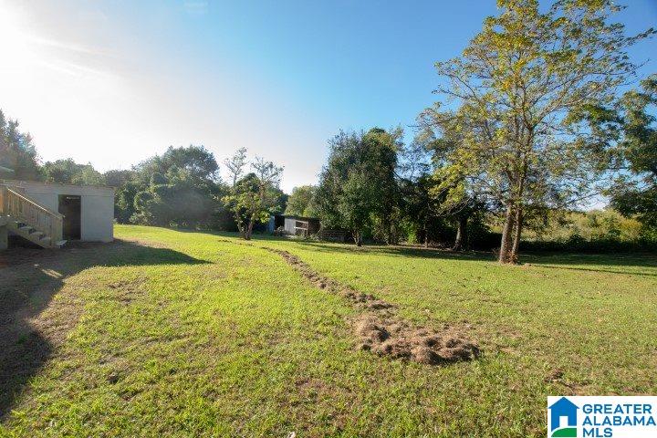 10385 Shipptown Road Empire, AL 35063 - Photo 8 of 49