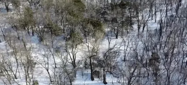 $207,000 | 0 Northwest County Road 1002, Butler, MO 64730