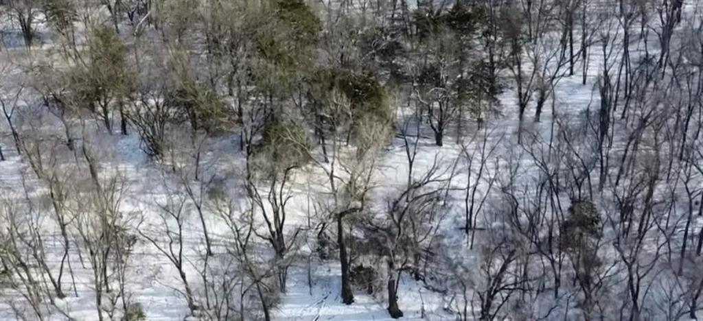 0 Northwest County Road 1002 Butler, MO 64730 - Photo 14 of 15