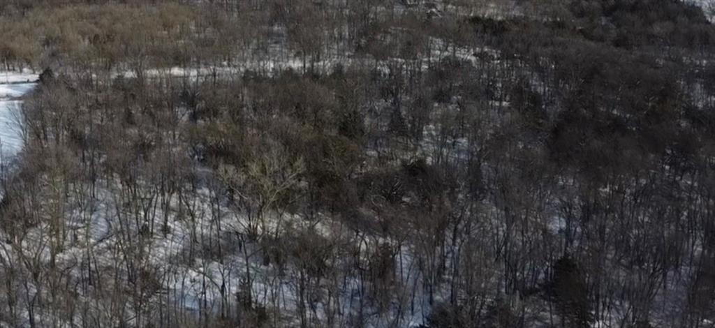 0 Northwest County Road 1002 Butler, MO 64730 - Photo 15 of 15