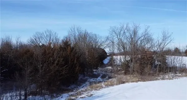 $207,000 | 0 Northwest County Road 1002, Butler, MO 64730