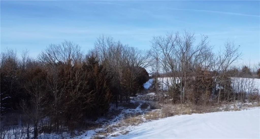 0 Northwest County Road 1002 Butler, MO 64730 - Photo 2 of 15