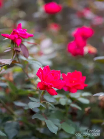 $425,000 | 54 Louisiana Avenue, Asheville, NC 28806