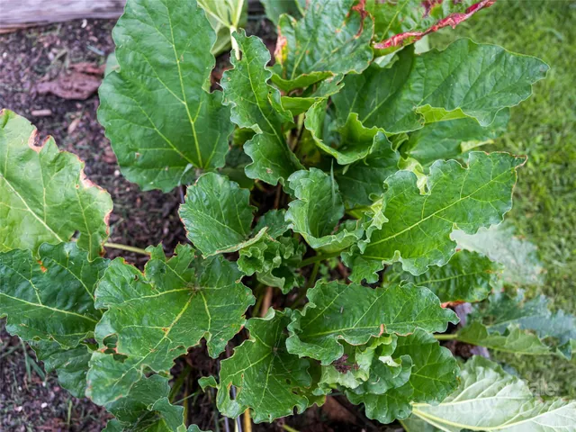 $425,000 | 54 Louisiana Avenue, Asheville, NC 28806