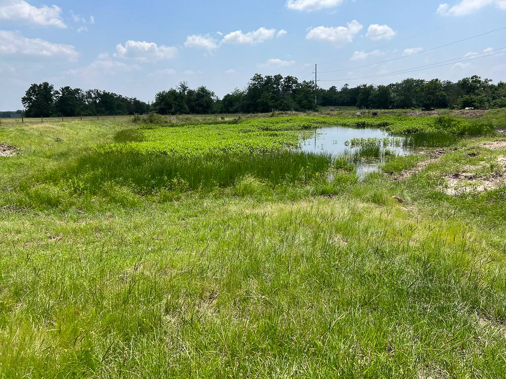 2562 Rd Richards Tx 77873 Road Anderson, TX 77830 - Photo 2 of 15 a view of a golf course with a lake