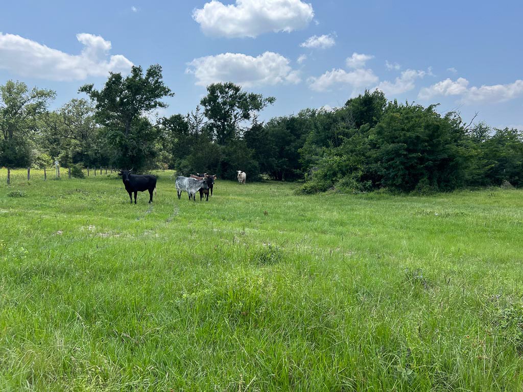 2562 Rd Richards Tx 77873 Road Anderson, TX 77830 - Photo 4 of 15 a view of garden with trees in the background