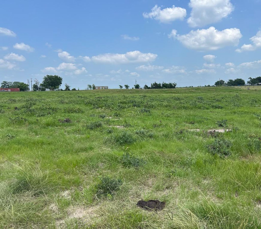 2562 Rd Richards Tx 77873 Road Anderson, TX 77830 - Photo 6 of 15