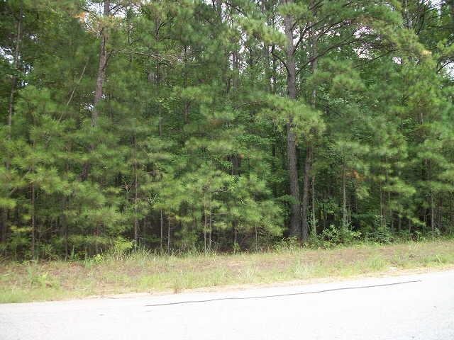0 Goodwyn Road Newnan, GA 30265 - Photo 1 of 1 Gallery Image 1