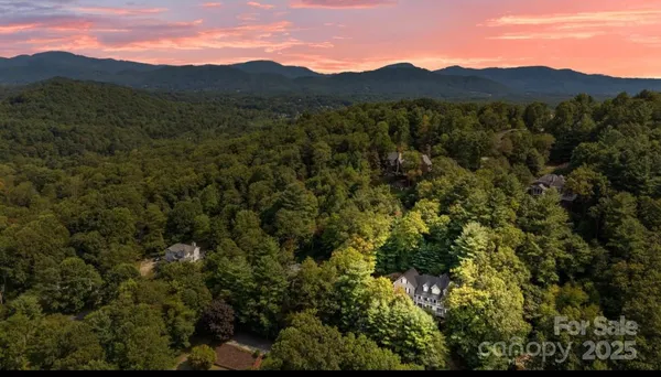 a view of a lush green hillside and a mountain