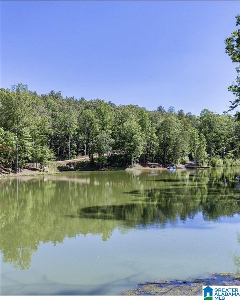 312 Timberview Trail, Unit 36 Chelsea, AL 35043 - Photo 4 of 8
