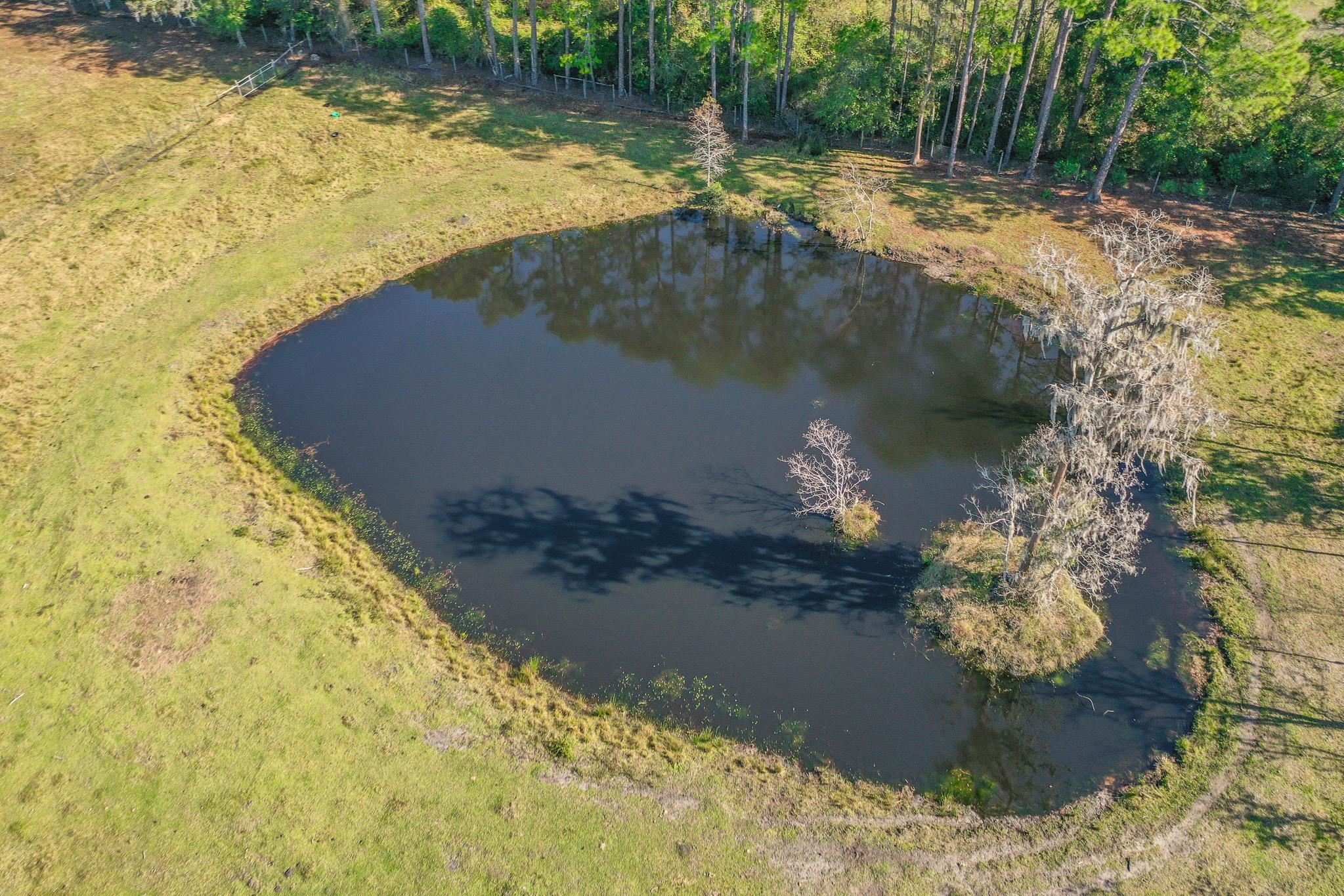 Don Manuel Road Elkton, FL 32033 - Photo 4 of 6 a view of a lake with a yard