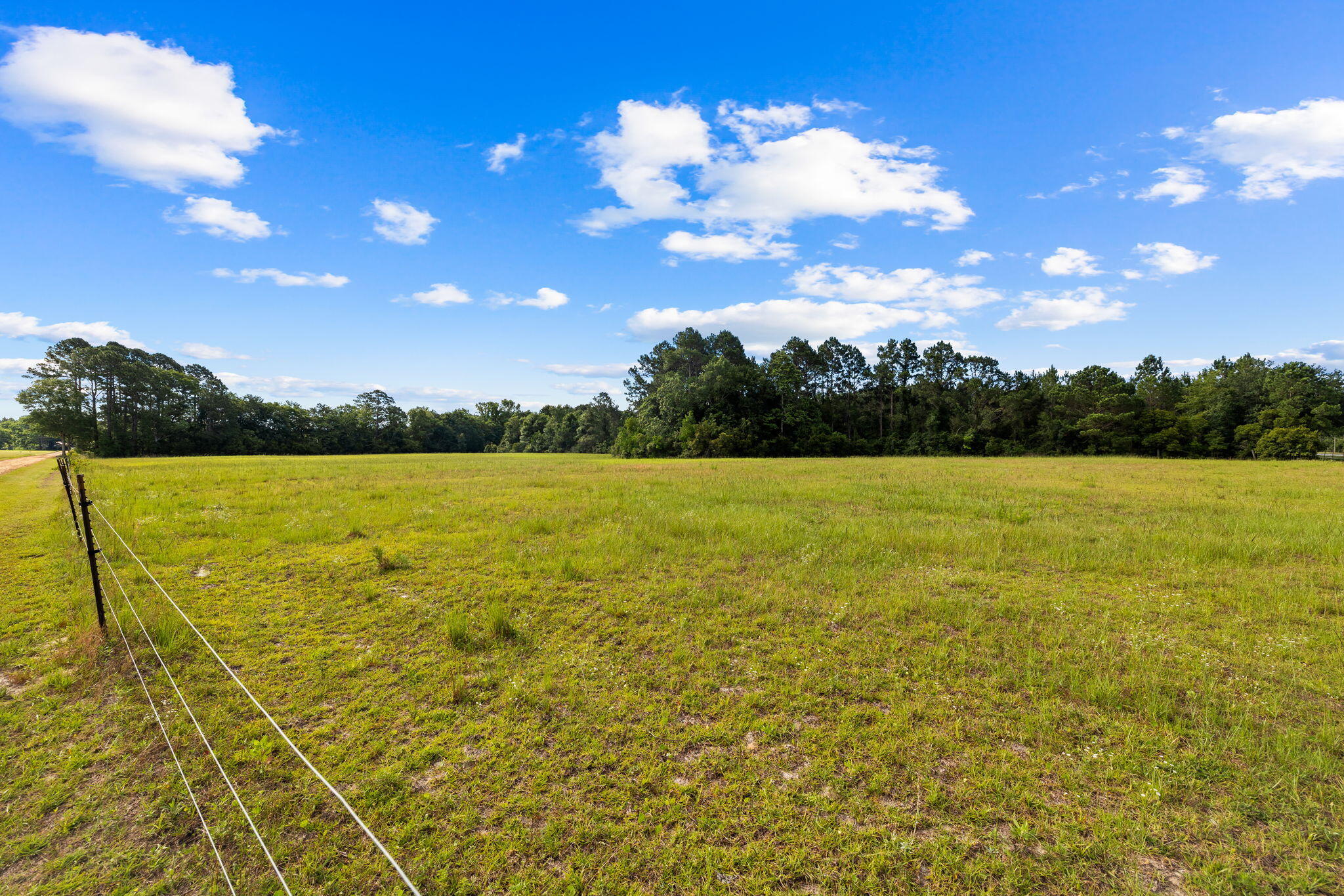 2671 County Highway 83A West Freeport, FL 32439 - Photo 37 of 55 a view of yard with swimming pool and trees in the background