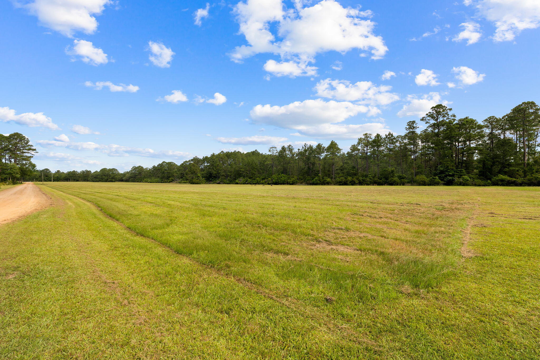 2671 County Highway 83A West Freeport, FL 32439 - Photo 42 of 55 2671 County Hwy 83A