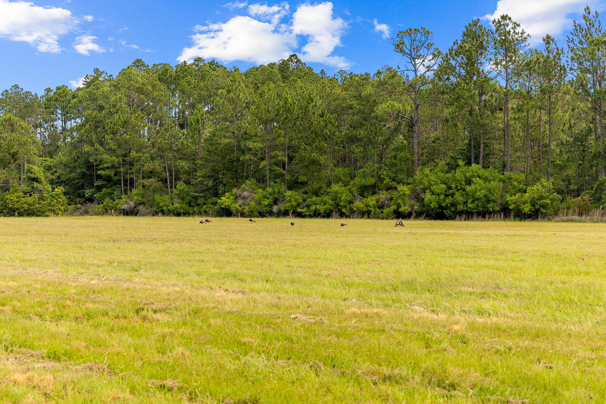 2671 County Highway 83A West Freeport, FL 32439 - Photo 43 of 55 a view of an outdoor space and swimming pool