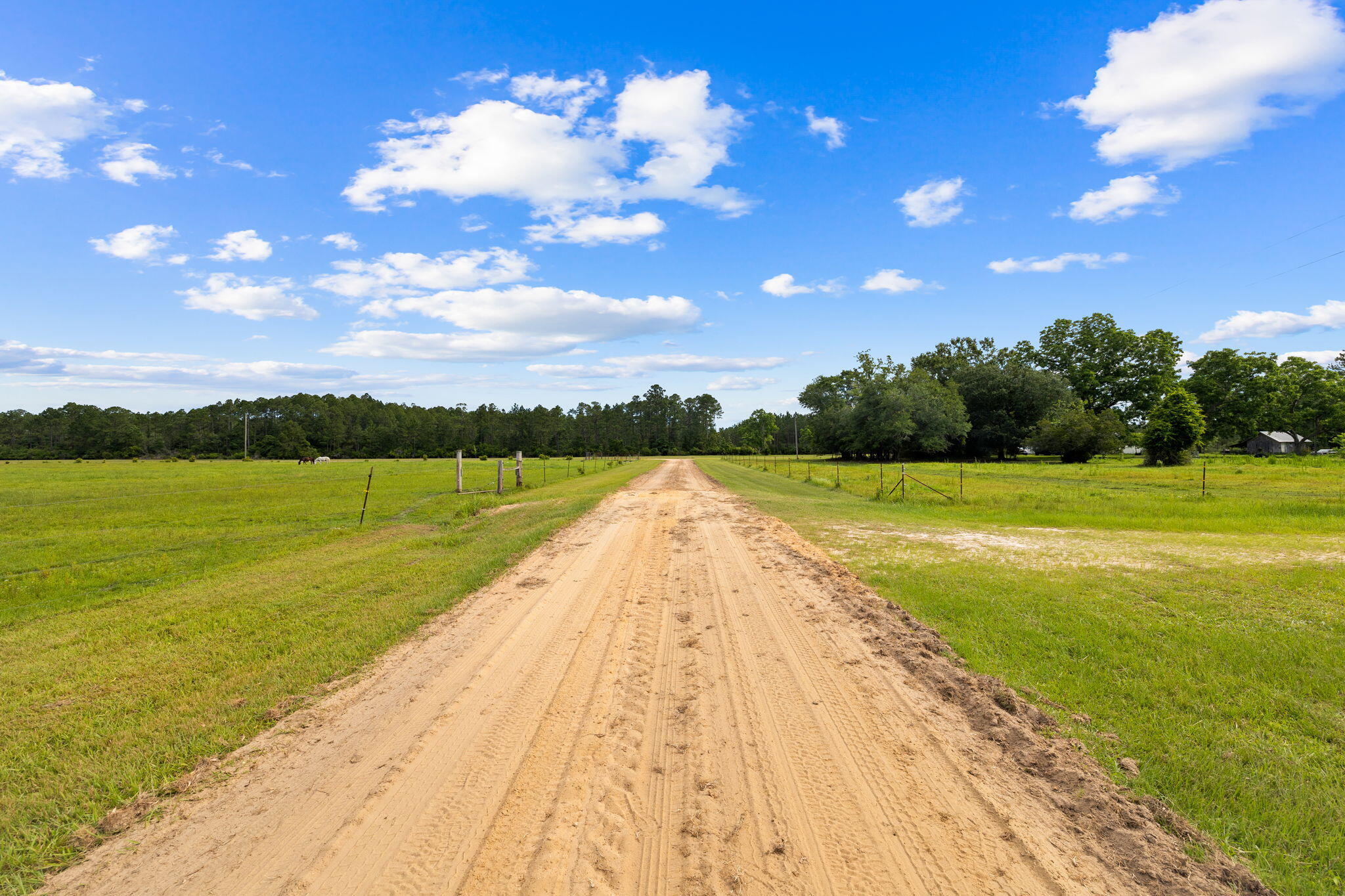 2671 County Highway 83A West Freeport, FL 32439 - Photo 46 of 55 a view of swimming pool with seating area and trees in the background