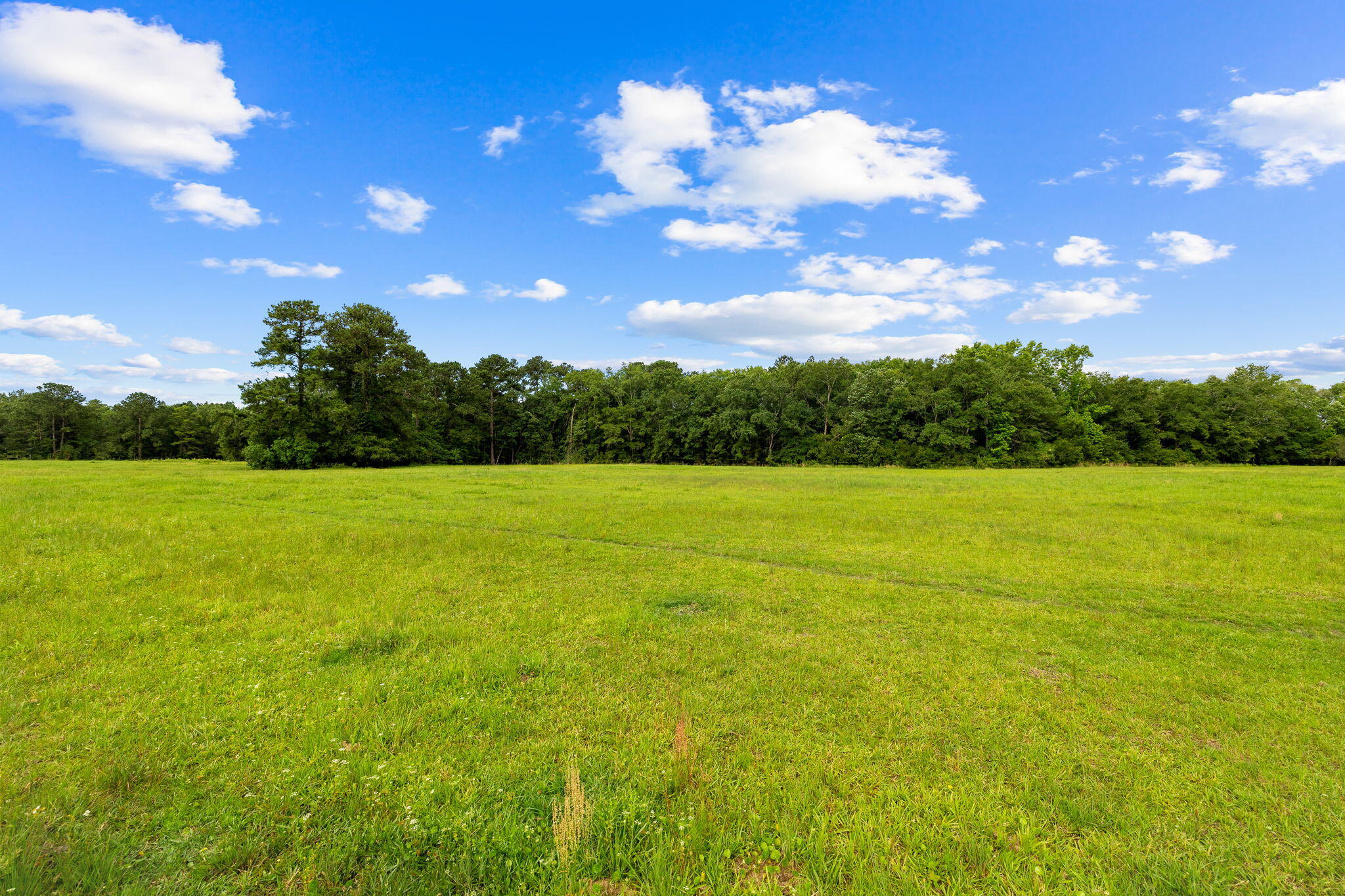 2671 County Highway 83A West Freeport, FL 32439 - Photo 50 of 55 a view of a yard with a house in the background