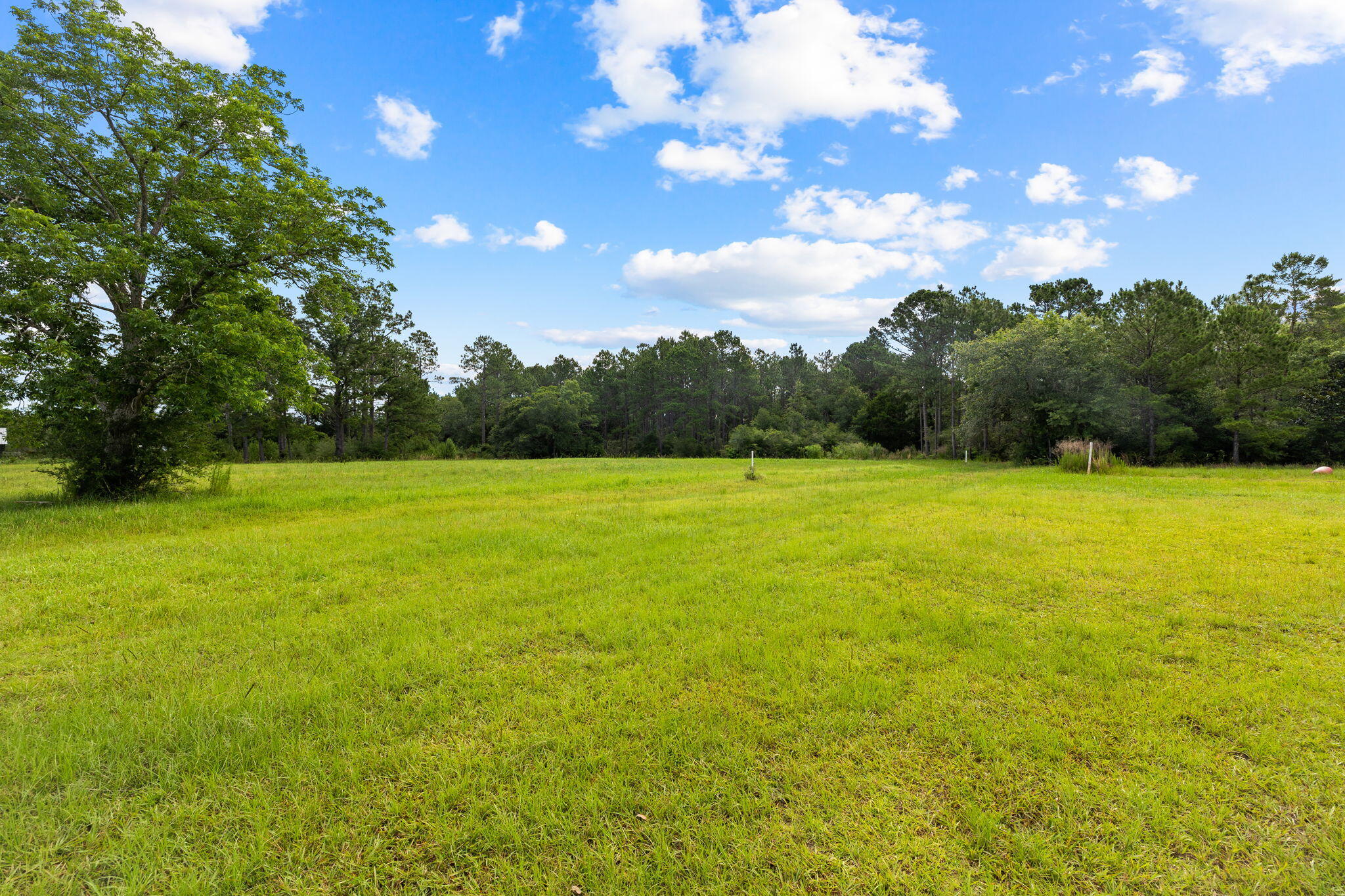 2671 County Highway 83A West Freeport, FL 32439 - Photo 52 of 55 a view of a field with an trees in the background