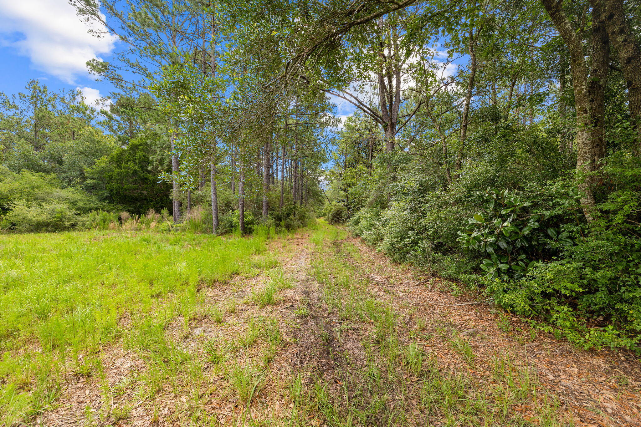 2671 County Highway 83A West Freeport, FL 32439 - Photo 54 of 55 a view of yard with green space