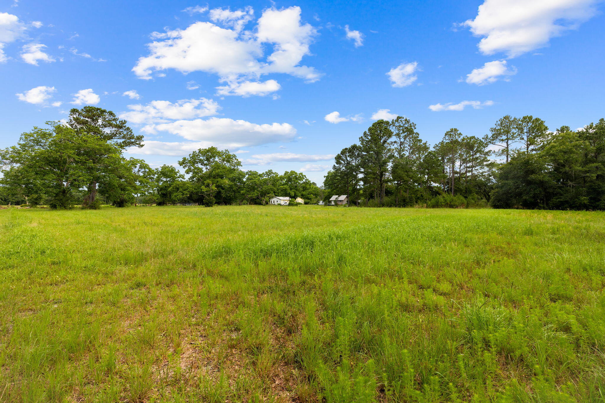 2671 County Highway 83A West Freeport, FL 32439 - Photo 55 of 55 a view of a garden with a house in the background