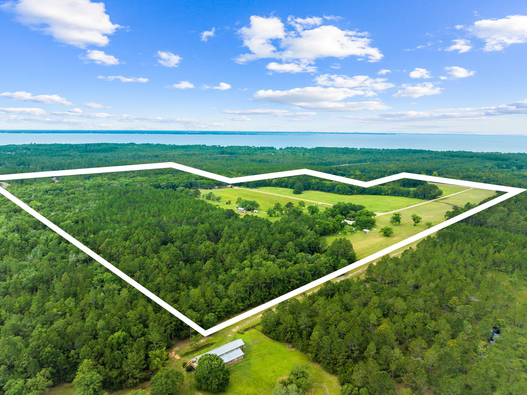 2671 County Highway 83A West Freeport, FL 32439 - Photo 8 of 55 a view of a green field with plants
