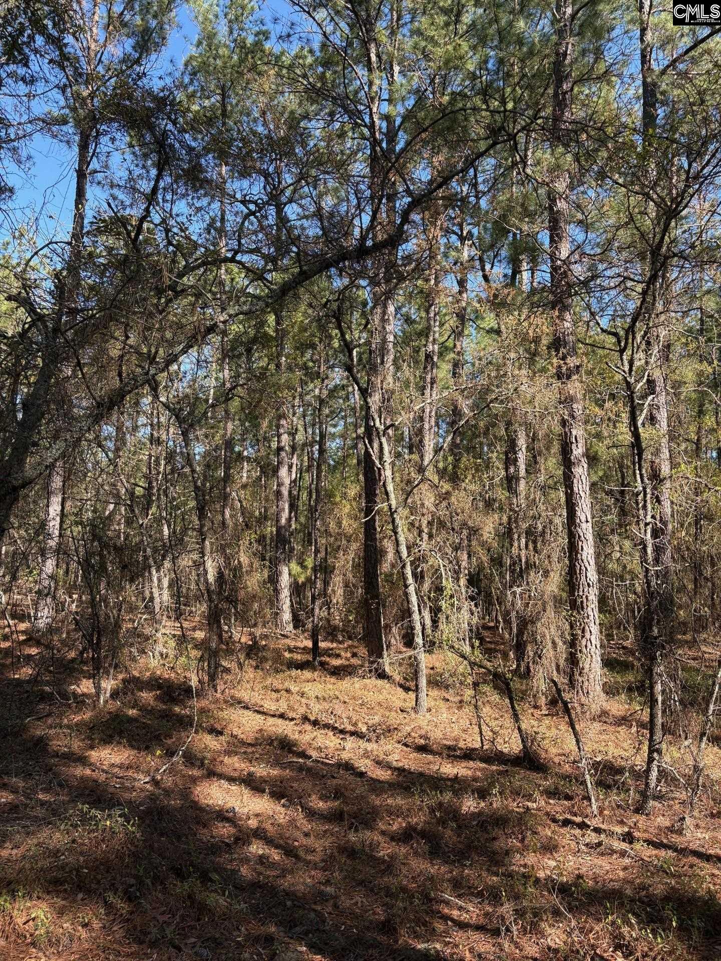 0 East Old Camden Road Hartsville, SC 29550 - Photo 4 of 10