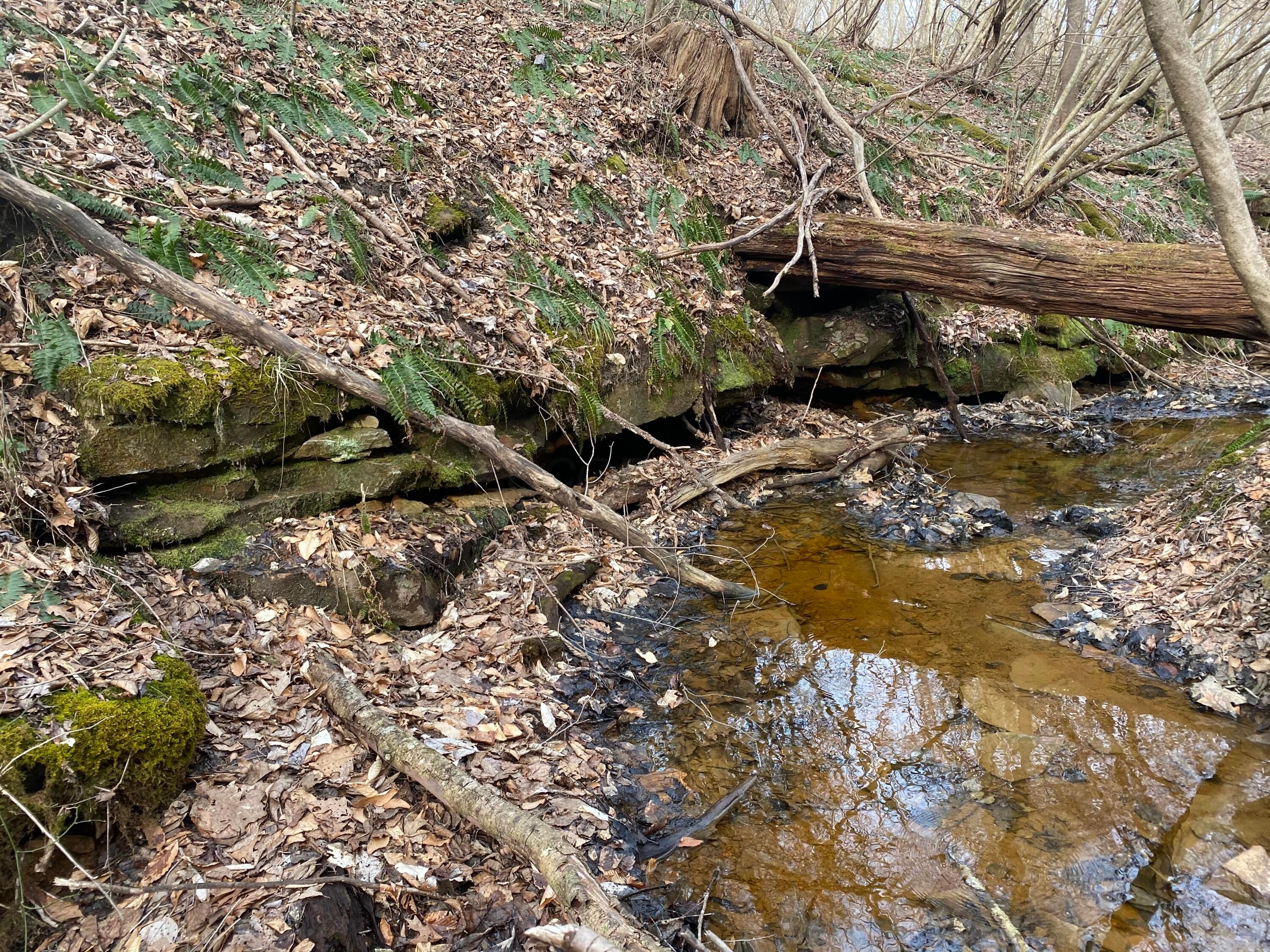 9758 Wesley Chapel Road Mount Perry, OH 43760 - Photo 33 of 43 Stream and waterfall