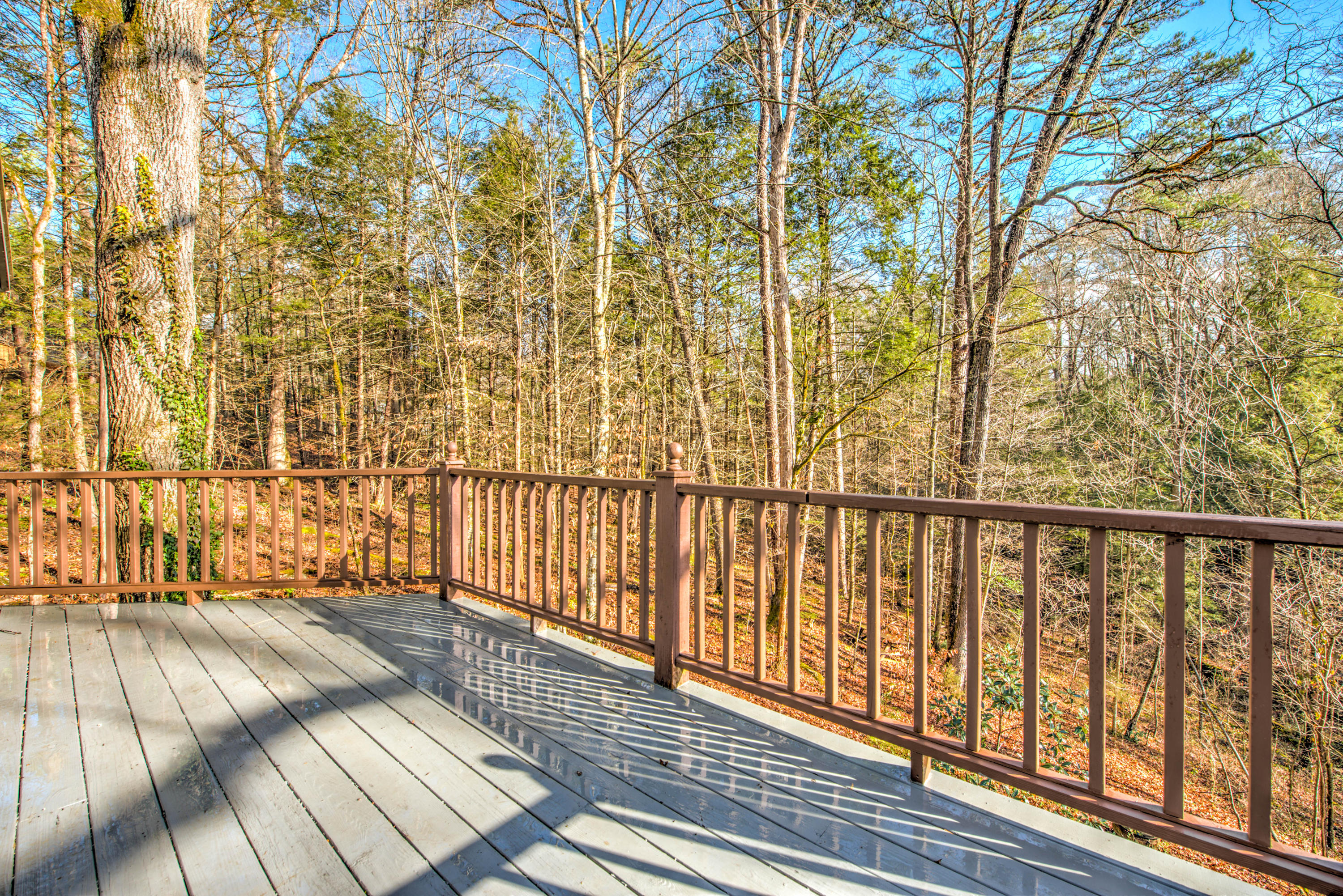 309 Laurel Road Townsend, TN 37882 - Photo 22 of 29 22