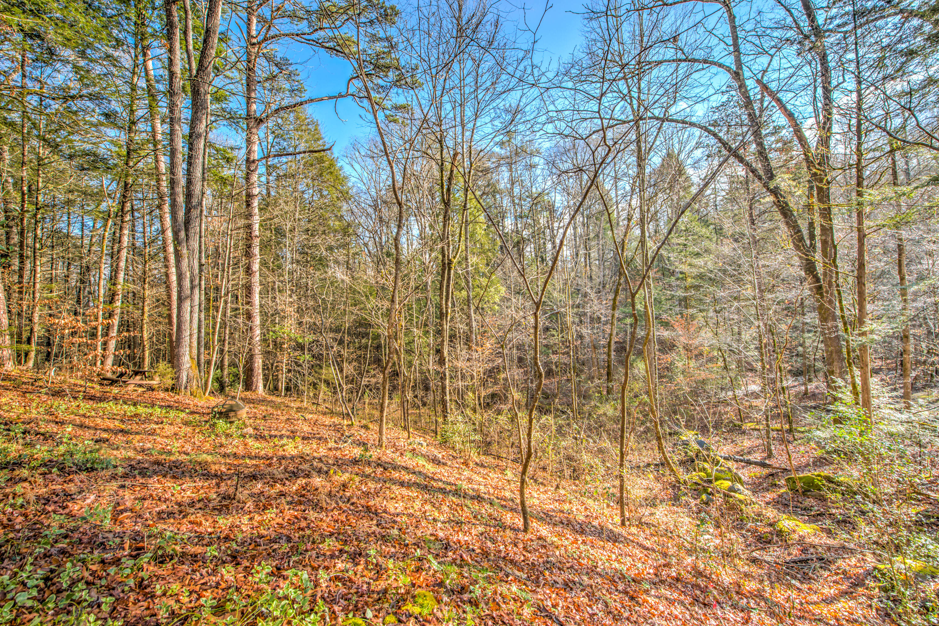 309 Laurel Road Townsend, TN 37882 - Photo 29 of 29 29