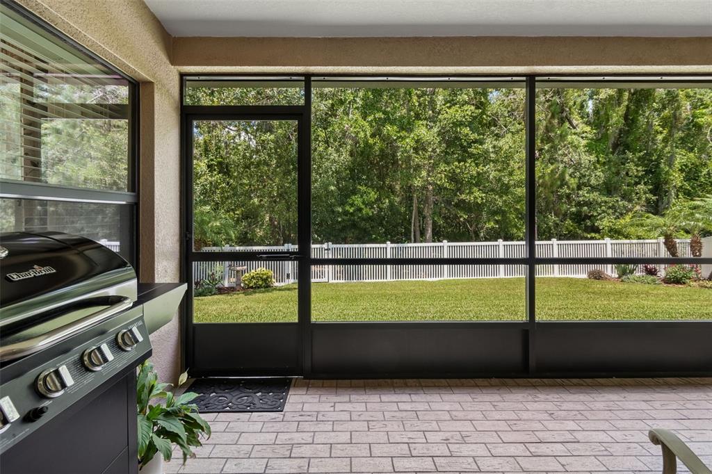 6601 Sparkling Way Wesley Chapel, FL 33545 - Photo 39 of 51