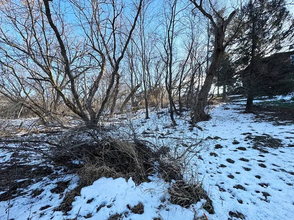 a view of a yard covered with snow
