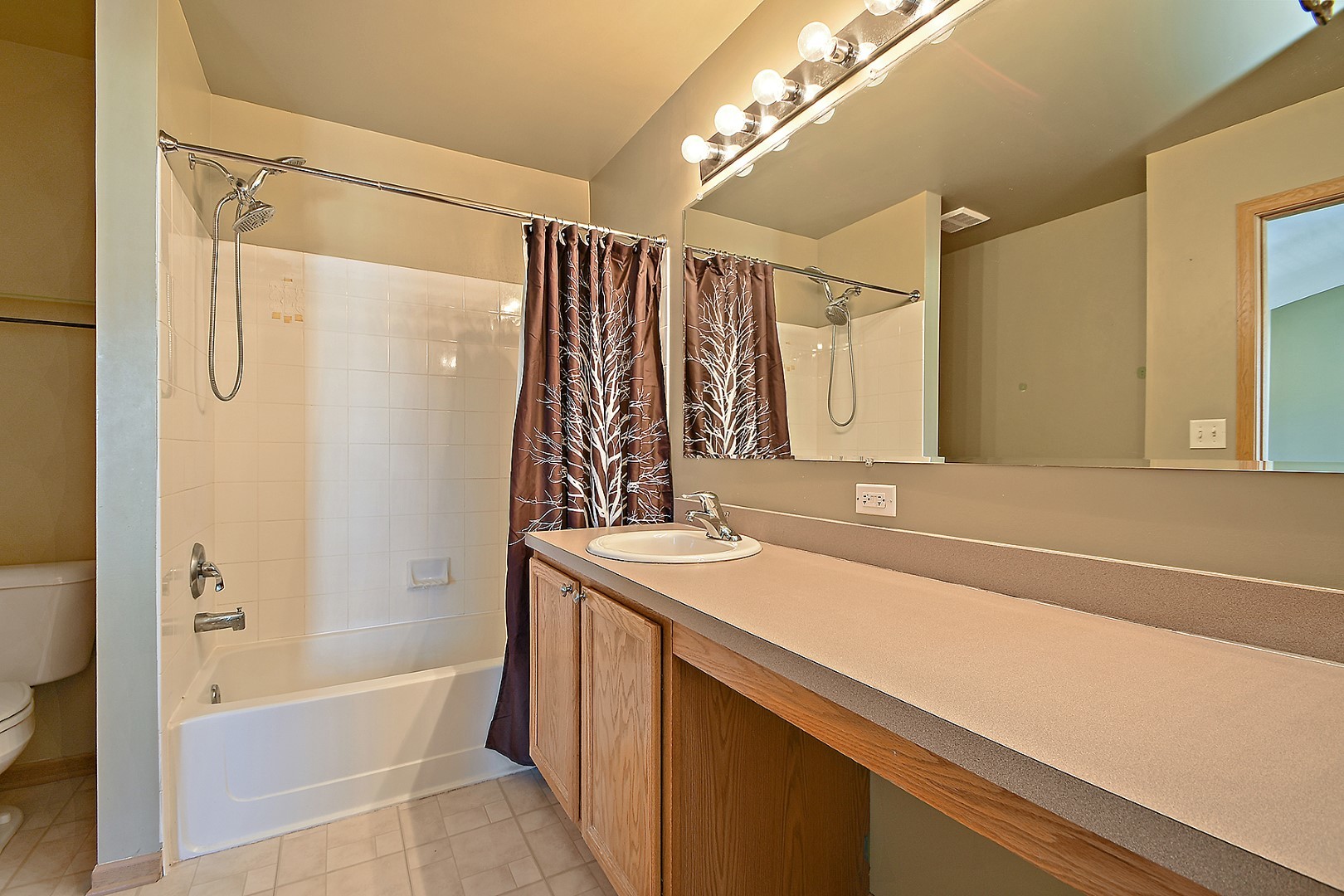 2529 Capitol Avenue Aurora, IL 60503 - Photo 14 of 25 a bathroom with a sink a mirror a bathtub and shower