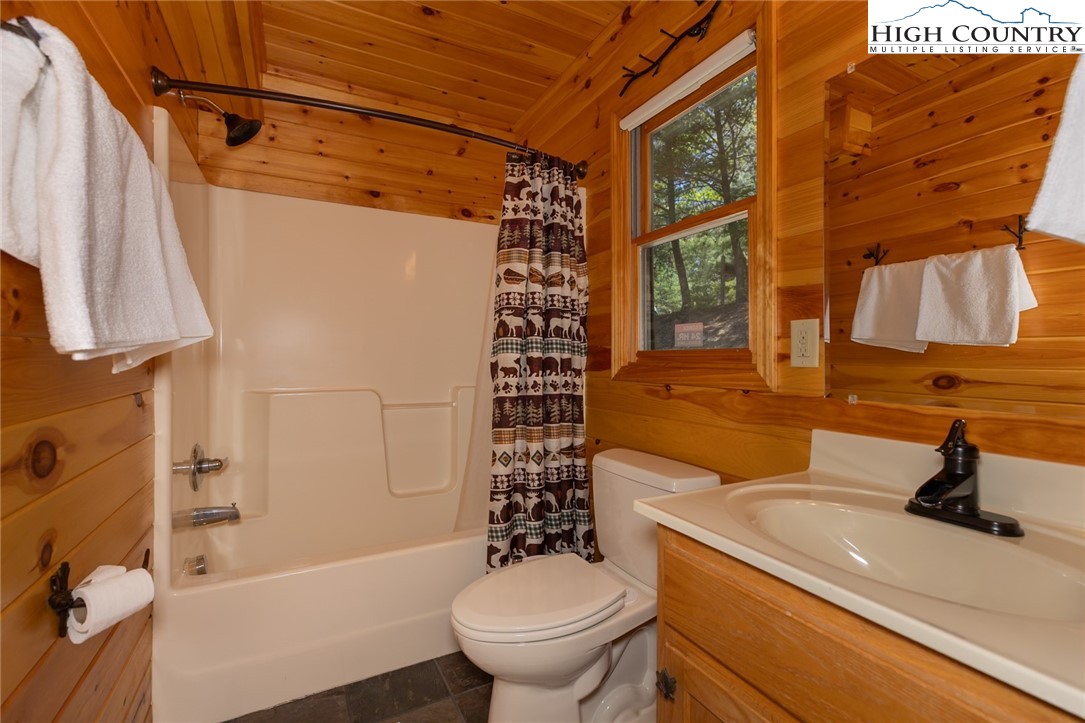 142 Fawn Lane Purlear, NC 28665 - Photo 20 of 49 a bathroom with a sink a toilet and shower
