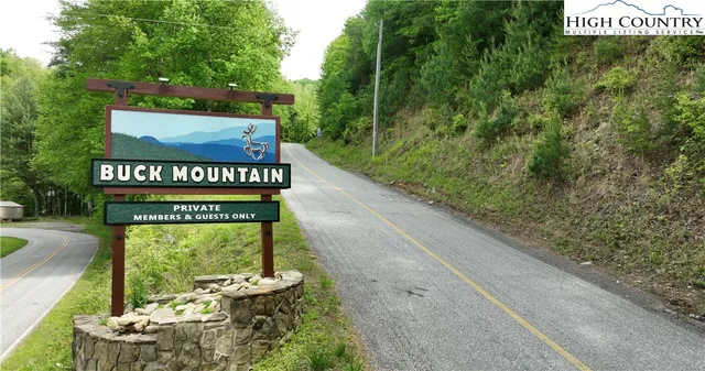 a view of a tree with a tree