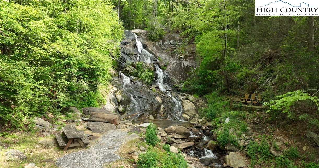142 Fawn Lane Purlear, NC 28665 - Photo 36 of 49 a view of a tree with a tree