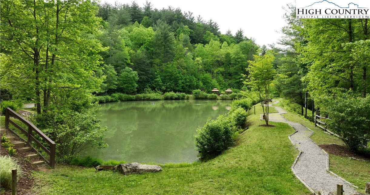 142 Fawn Lane Purlear, NC 28665 - Photo 40 of 49 a view of a garden with a lake