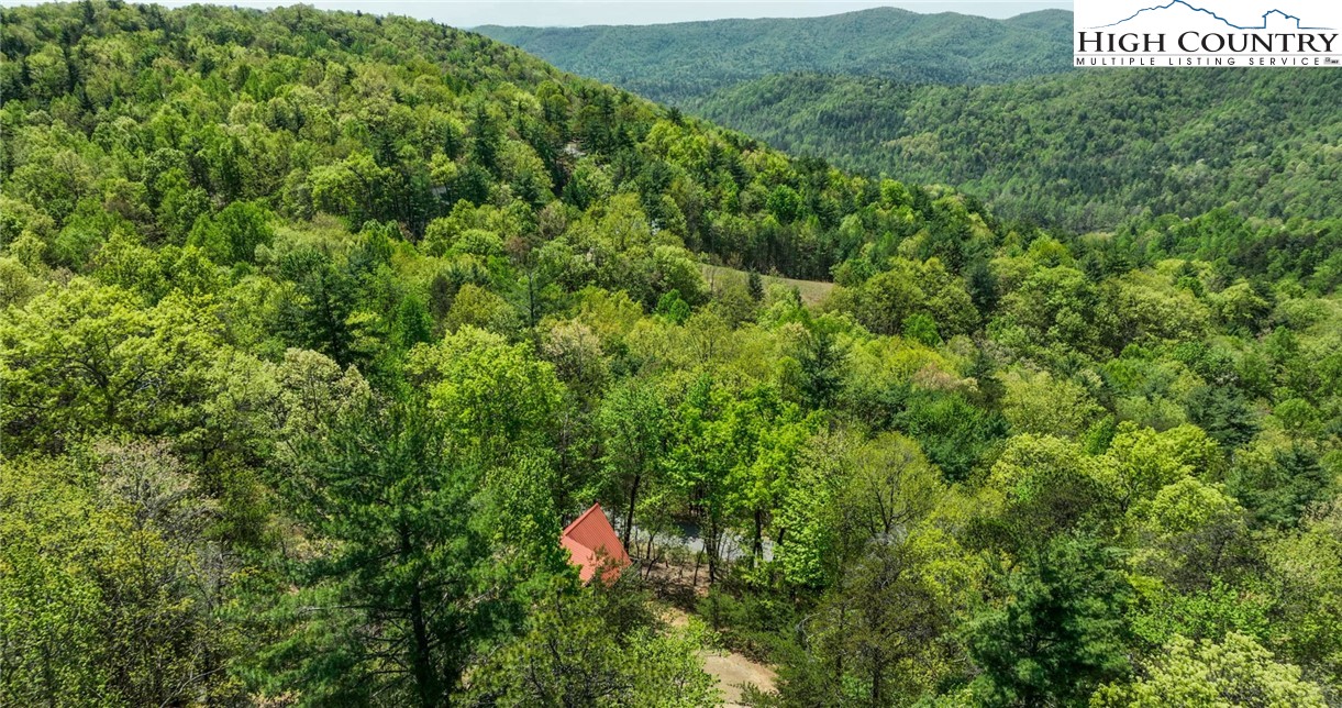 142 Fawn Lane Purlear, NC 28665 - Photo 44 of 49 a view of a lush green forest with a mountain