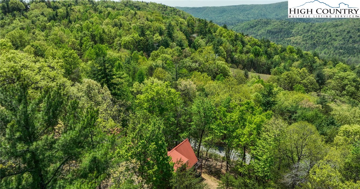142 Fawn Lane Purlear, NC 28665 - Photo 47 of 49 an aerial view of residential house with an outdoor space and street view