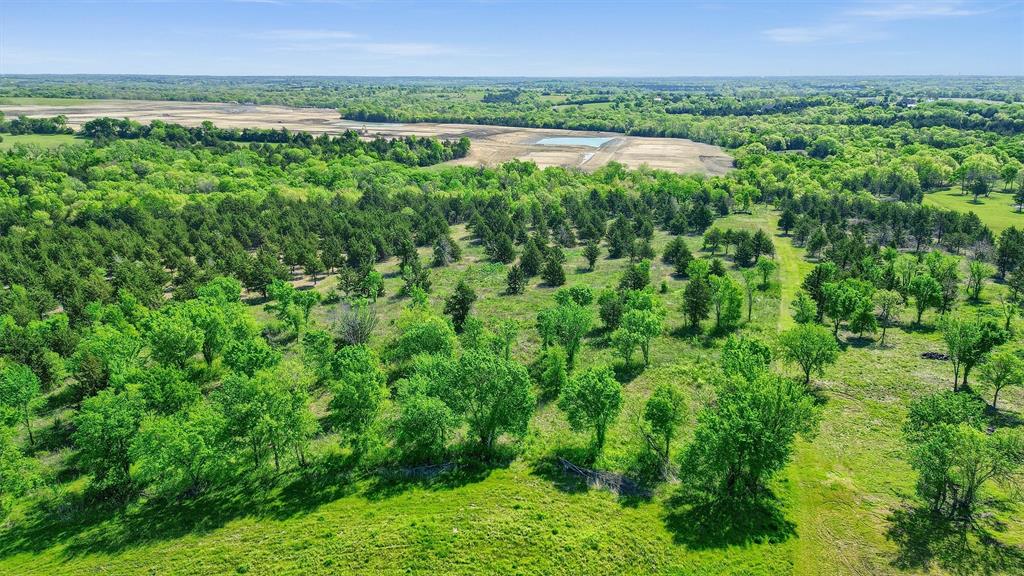 2554 Bennett Road Howe, TX 75459 - Photo 7 of 16