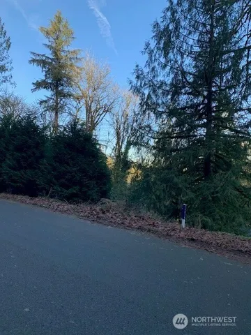 a view of a street with a trees