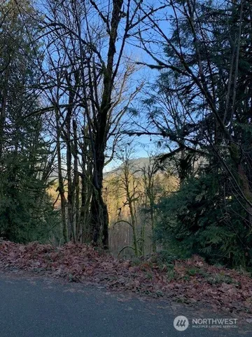 a view of a yard with a tree