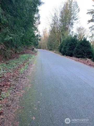 a view of a forest with trees in the background