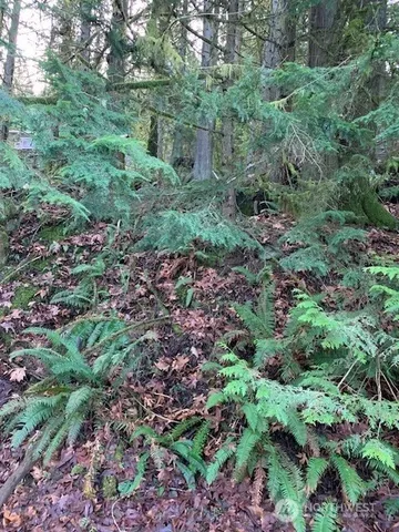 a view of a large yard with lots of green space