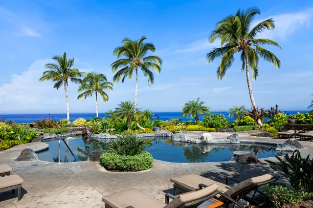 a view of a backyard with couches chair and potted plants