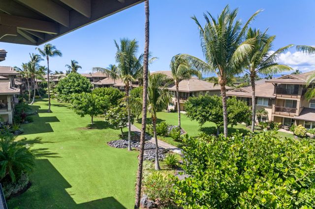 a view of a yard with plants