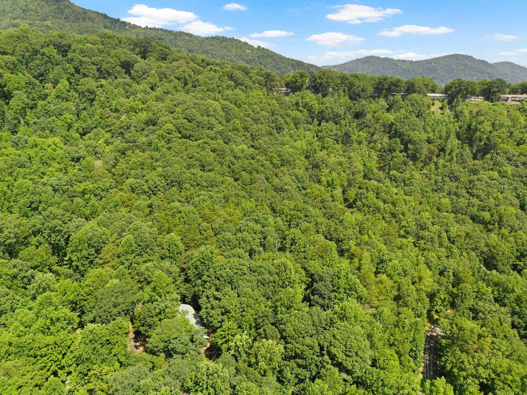 56 Cardinal Circle Tryon, NC 28782 - Photo 29 of 30 Gallery Image 29