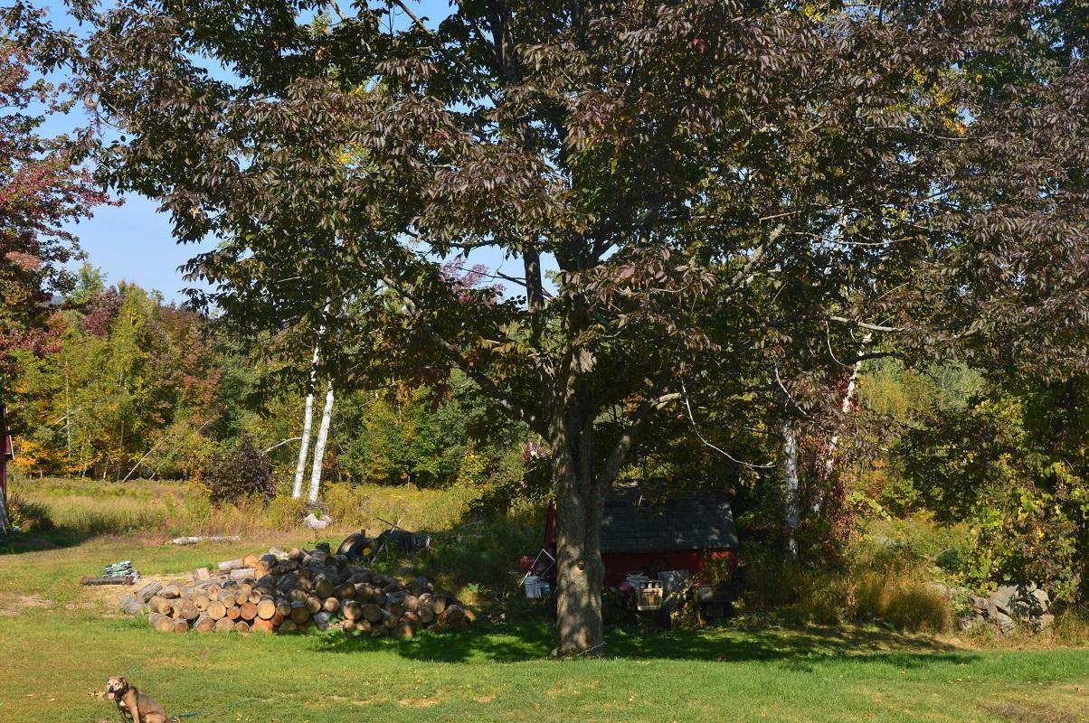 23 Winter Hill Road Carthage, ME 04224 - Photo 35 of 67 DSC_0434