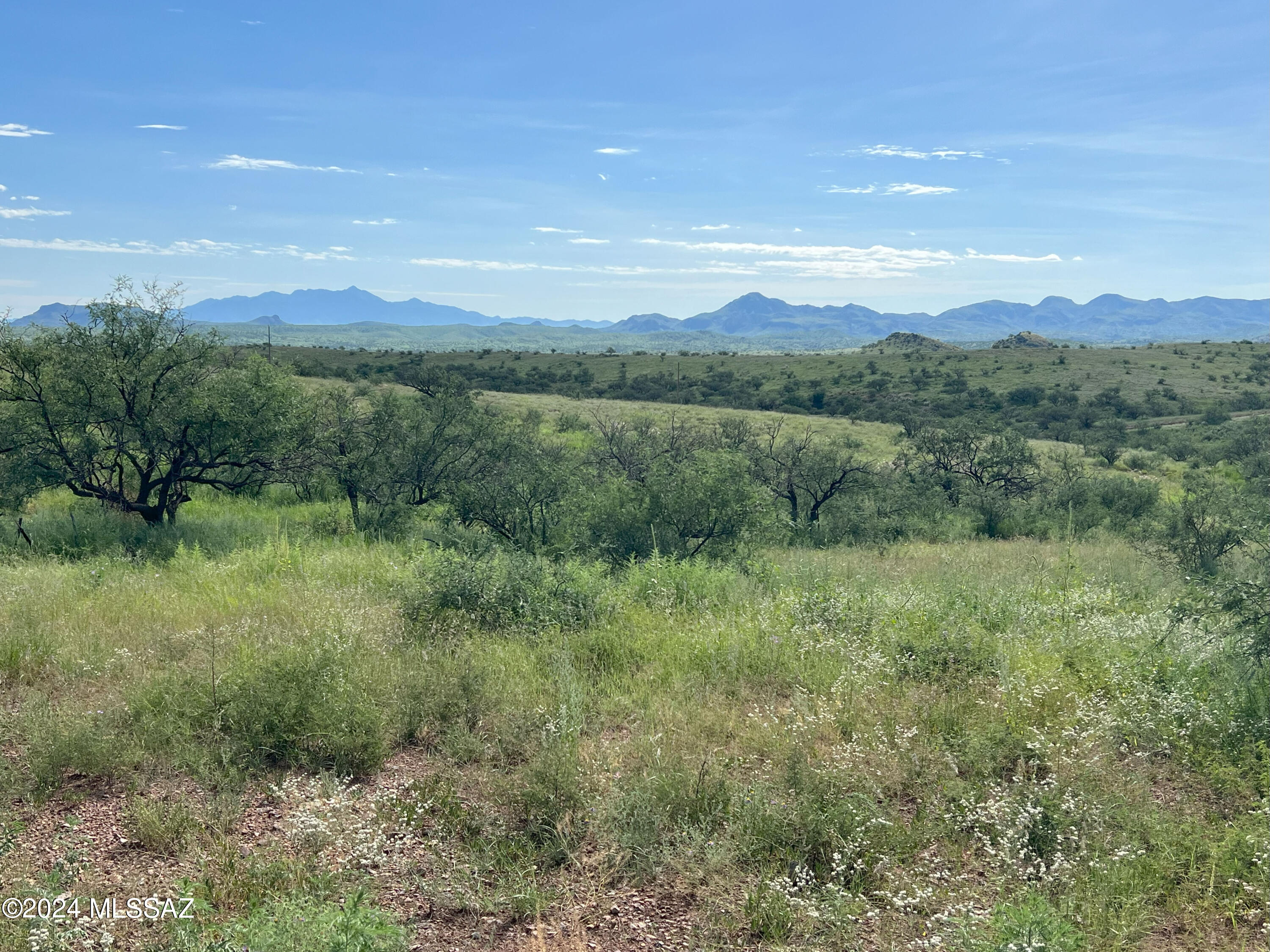 13910 West Jalisco Road Arivaca, AZ 85601 - Photo 9 of 10 a view of a lush green outdoor space with a lake view